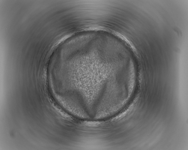 X0000111870825200908131610