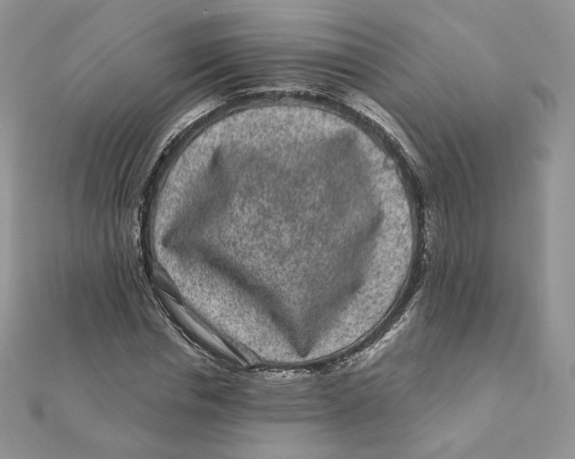 X0000111870826200908131610