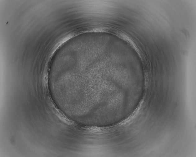 X0000111870827200908131610