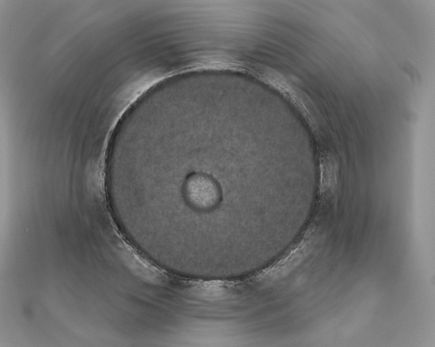 X0000111870828200908131610