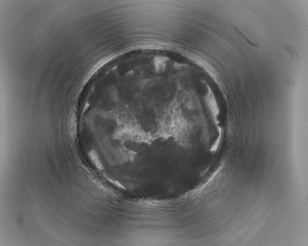 X0000111870829200908131610