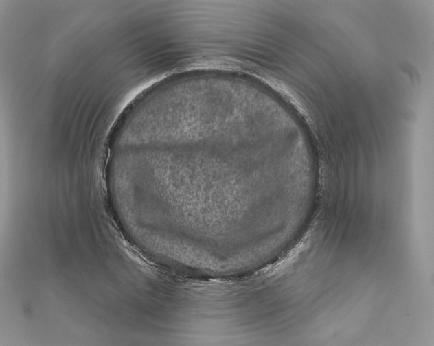 X0000111870830200908131610