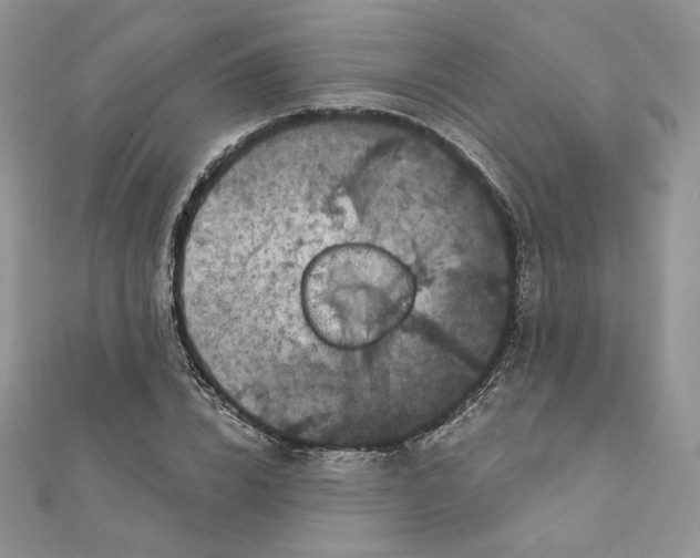 X0000111870832200908131610