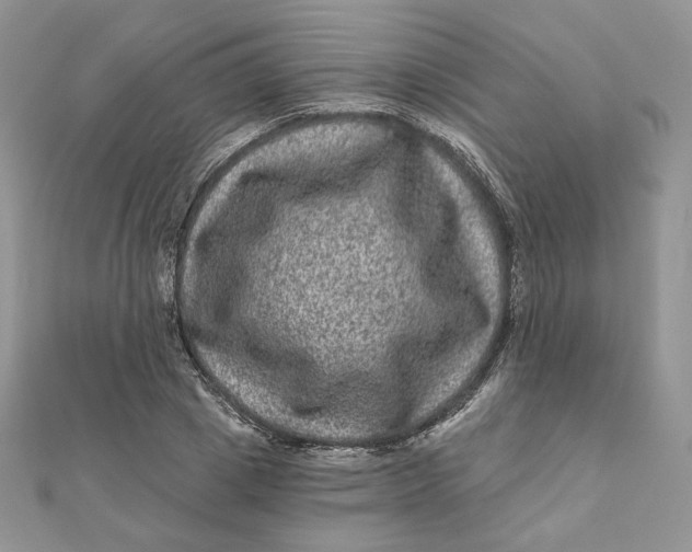 X0000111870833200908131610