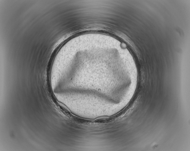 X0000111870834200908131610