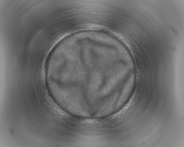 X0000111870835200908131610