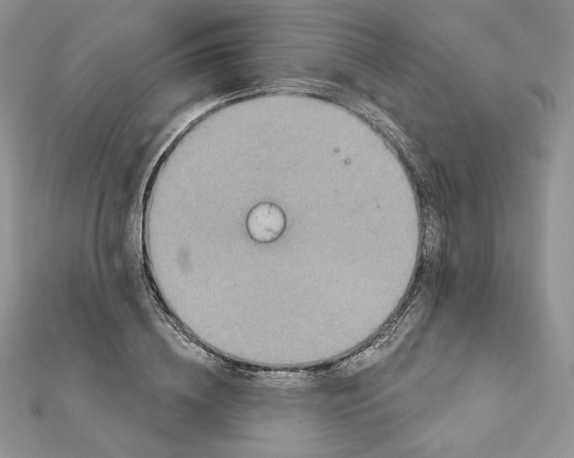 X0000111870836200908131610