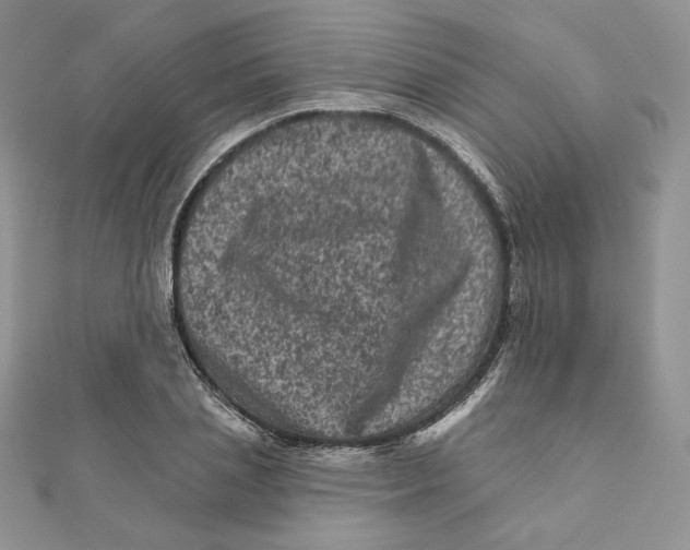 X0000111870837200908131610