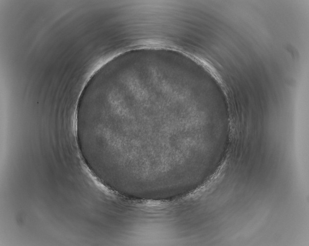 X0000111870839200908131610