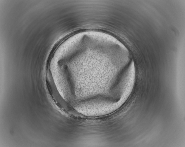 X0000111870840200908131610