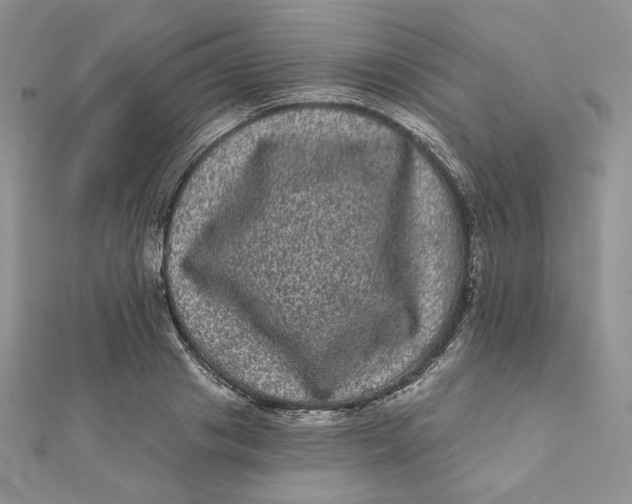 X0000111870841200908131610