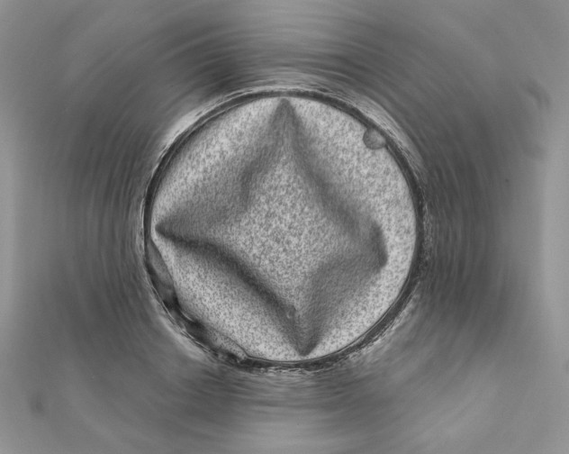 X0000111870842200908131610