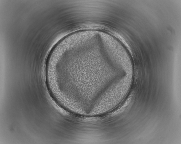 X0000111870843200908131610