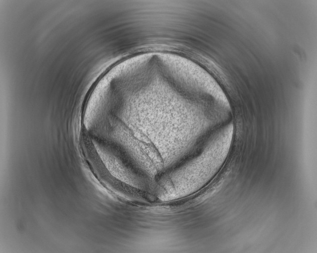 X0000111870844200908131610