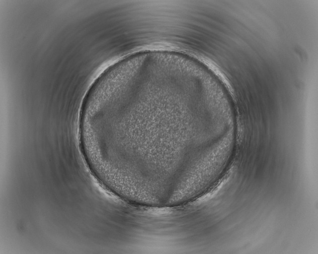 X0000111870845200908131610