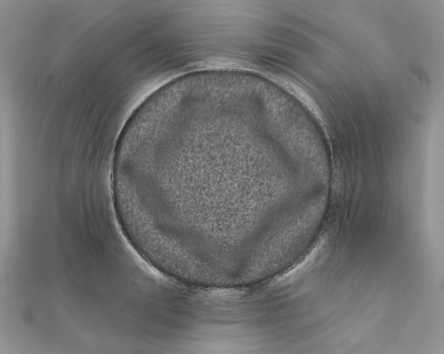 X0000111870847200908131610