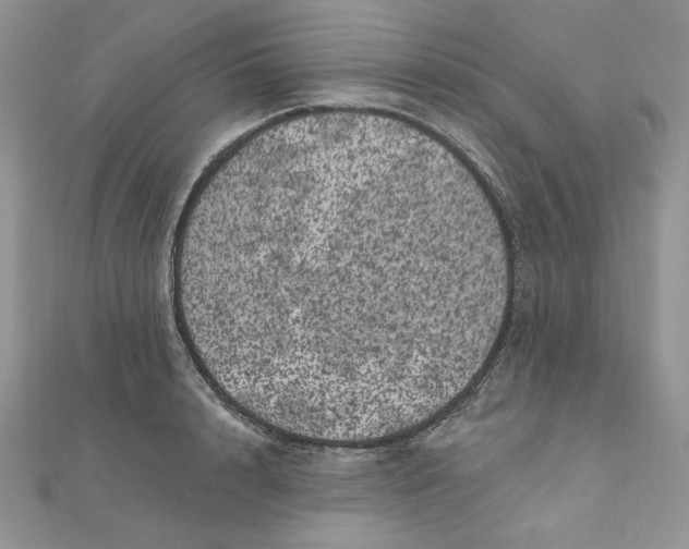 X0000111870848200908131610