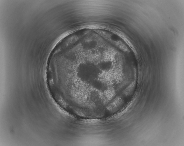 X0000111870853200908131610