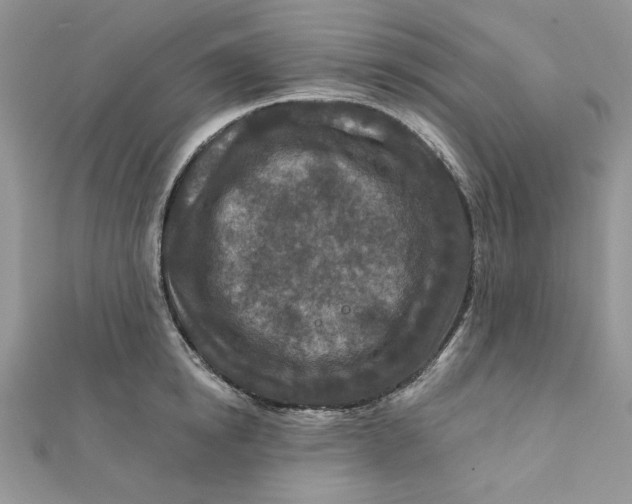 X0000111870854200908131610