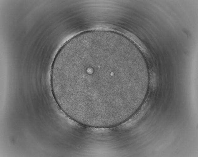 X0000111870856200908131610