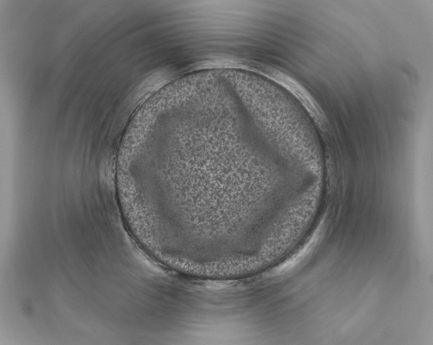 X0000111870857200908131610