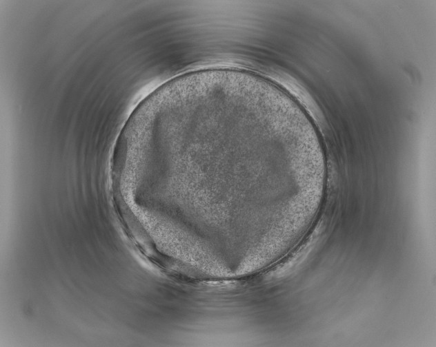 X0000111870858200908131610