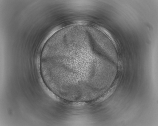 X0000111870859200908131610