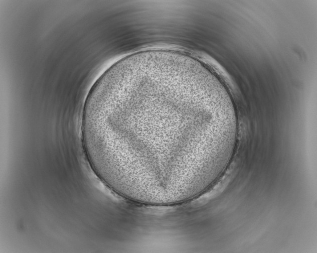 X0000111870860200908131610