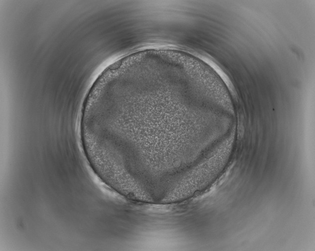 X0000111870861200908131610