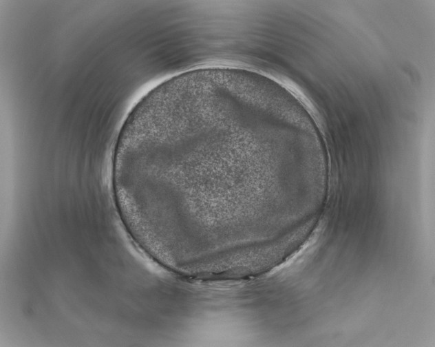 X0000111870862200908131610