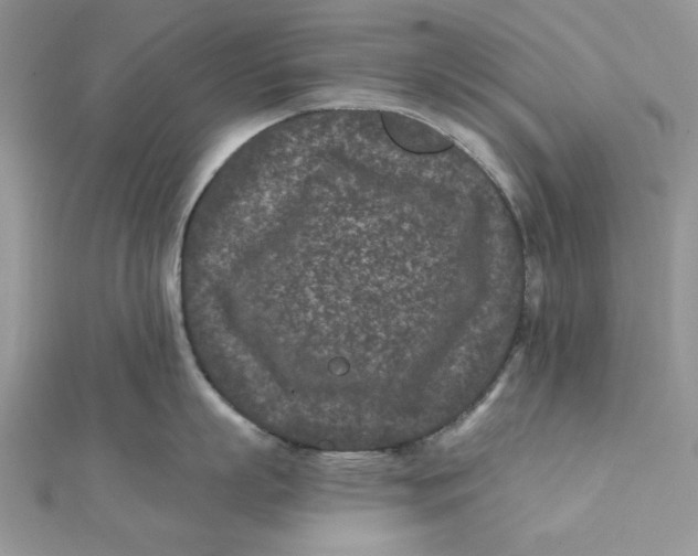 X0000111870863200908131610