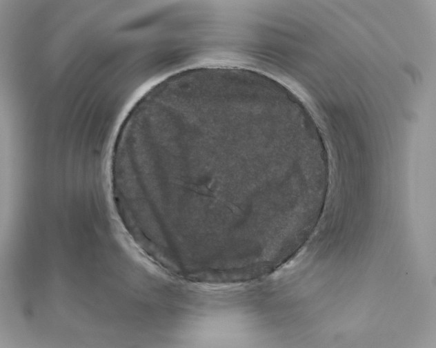 X0000111870864200908131610