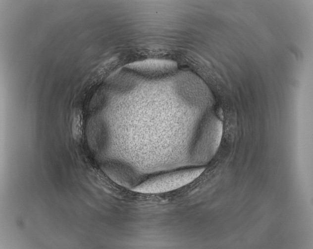 X0000111870866200908131610