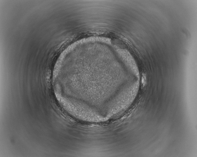 X0000111870867200908131610