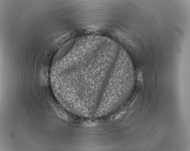 X0000111870868200908131610