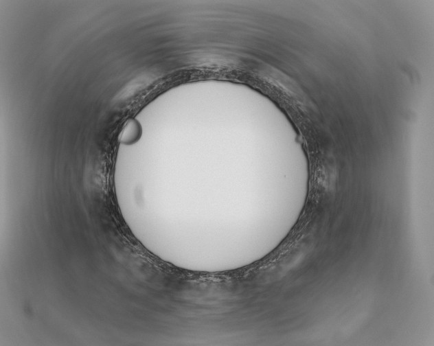 X0000111870869200908131610