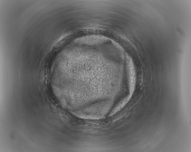 X0000111870870200908131610