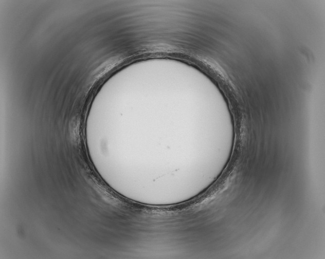 X0000111870873200908131610