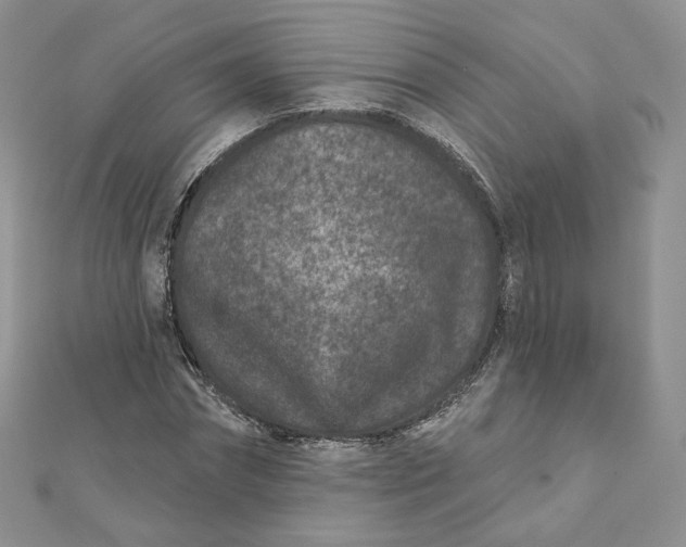 X0000111870874200908131609