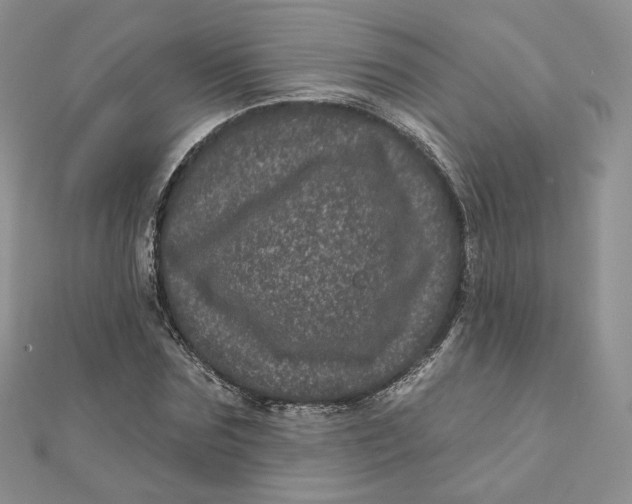 X0000111870875200908131609