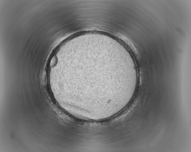 X0000111870876200908131609