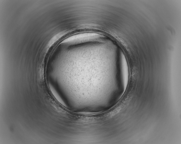 X0000111870877200908131609