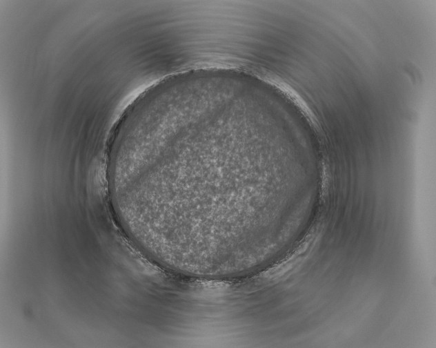 X0000111870878200908131609