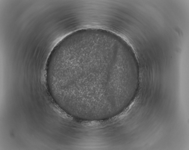 X0000111870879200908131609