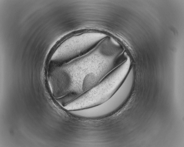 X0000111870880200908131609