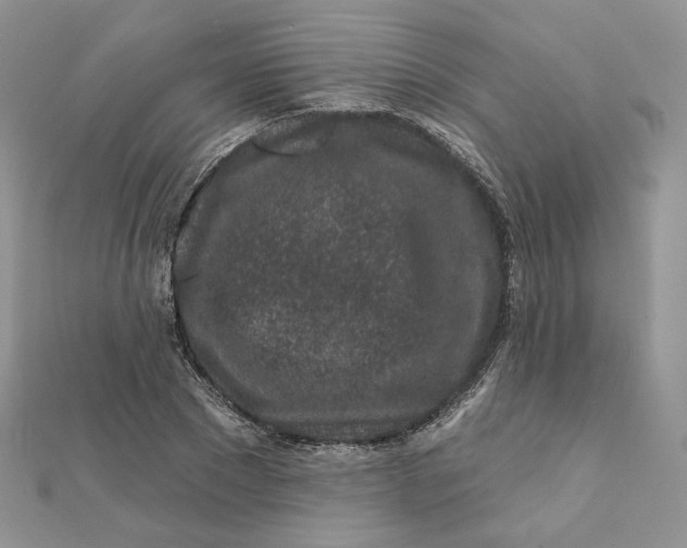 X0000111870881200908131609