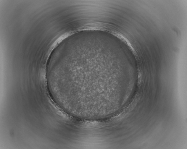 X0000111870882200908131609