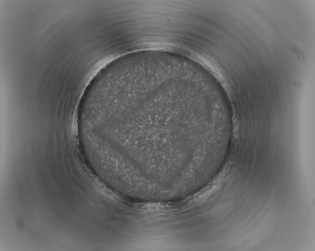 X0000111870883200908131609