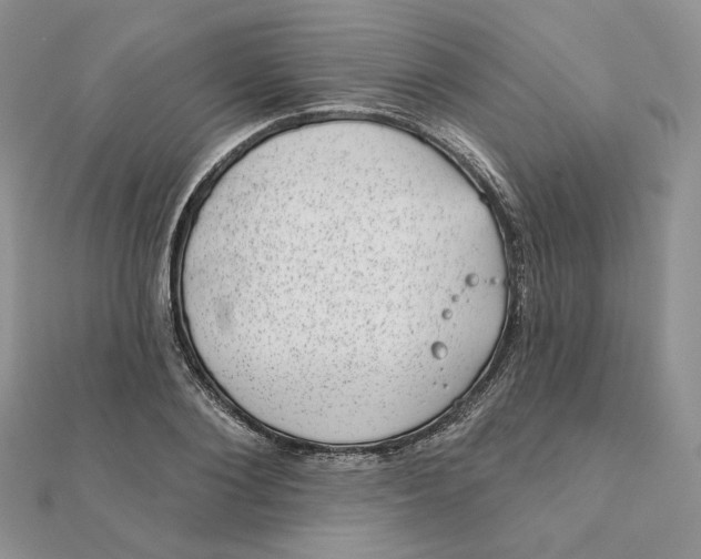 X0000111870884200908131609