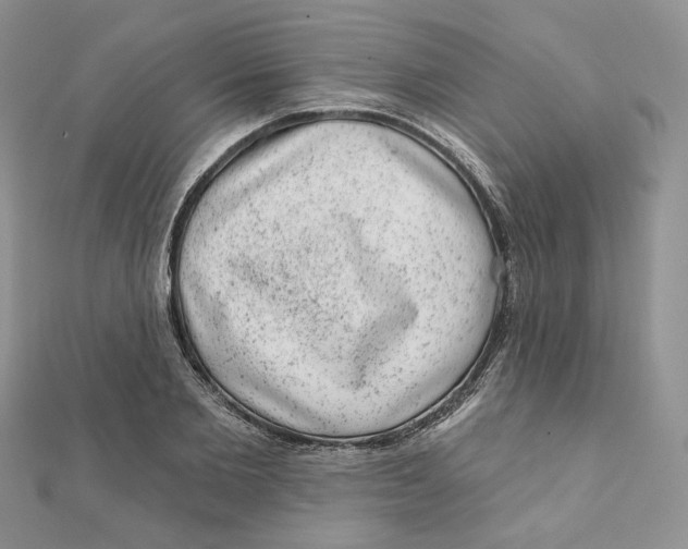 X0000111870885200908131609